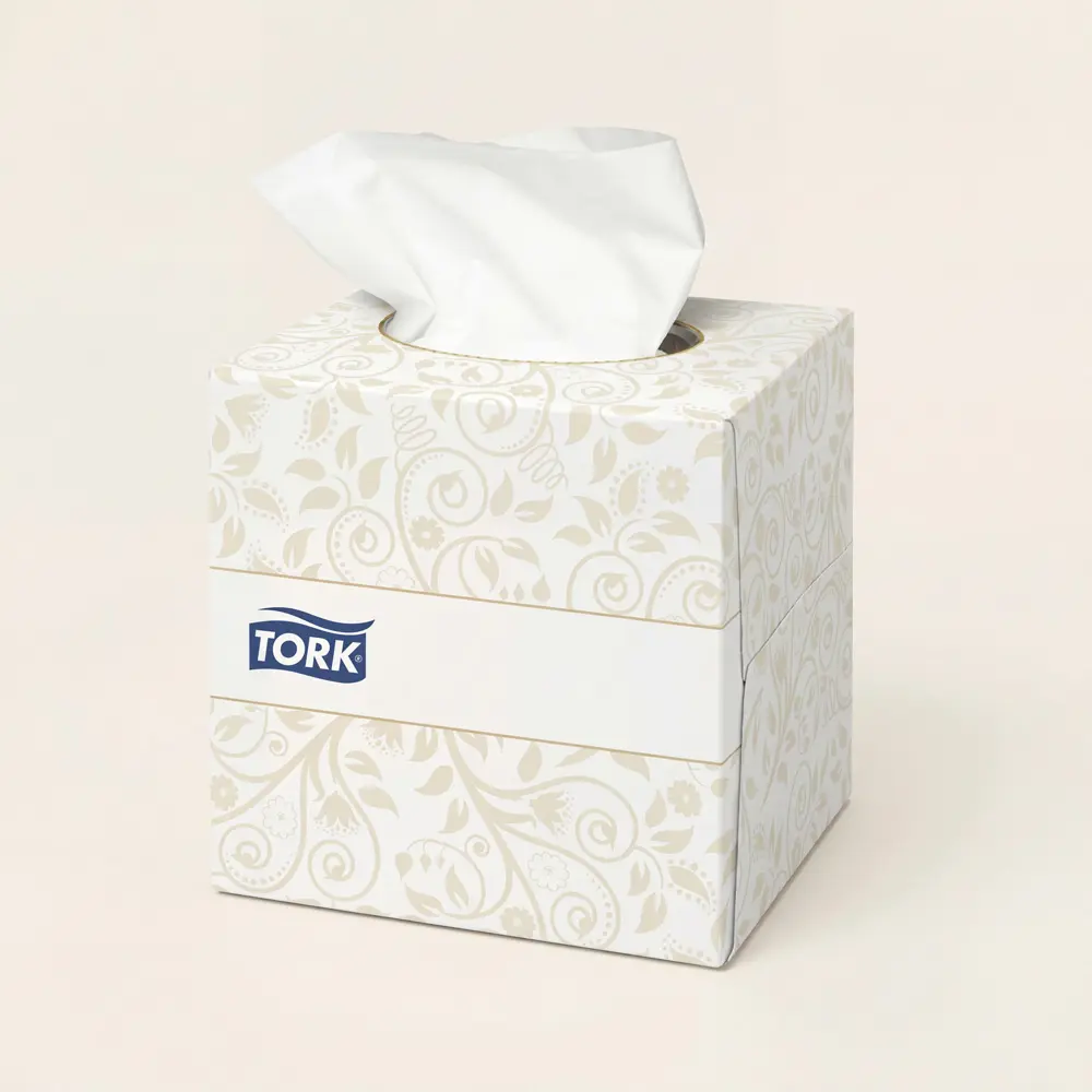 Veline per il viso Extra Soft 2 veli in dispenser di carta Tork (100pz/cf)